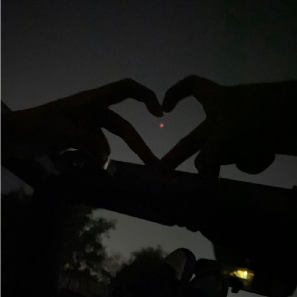 Meet your Posher, Nino